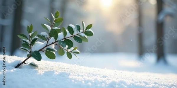Fototapeta Winter's Gentle Embrace A Snow-Covered Branch with Evergreen Leaves in a Serene Winter Landscape