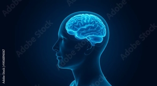 Obraz Glowing Blue Human Head with Brain on Dark Blue Background Science and Technology Visualization