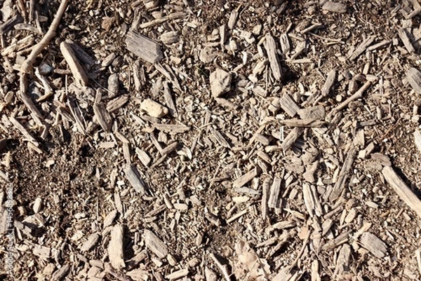 Obraz A close view of the brown mulch on the ground surface.