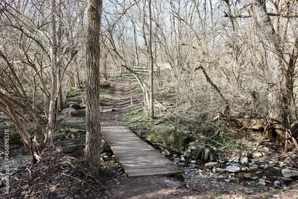 Obraz The trail in the woods on a winter day.