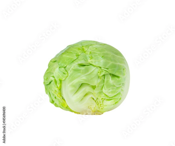 Obraz Cabbage isolated on white background