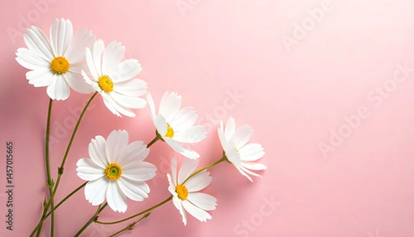 Obraz illustration of white jasmine flowers scattered on a pink background