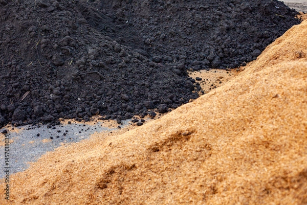Fototapeta Soil and rice stalks for cultivation. Top view of fertile soil in the garden. Background texture.