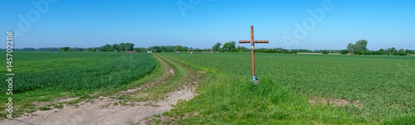 Fototapeta Panoramic view over green fields until the horizon with a devotional cross and a field path in the foreground in the Tullnerfeld in spring sunshine, Austria