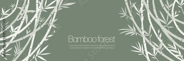 Fototapeta Horizontal bamboo frame on a green background, as a curtain or background for a banner. Vector pattern of white bamboo stems.