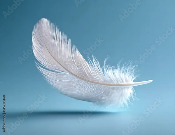 Obraz White feather on blue background