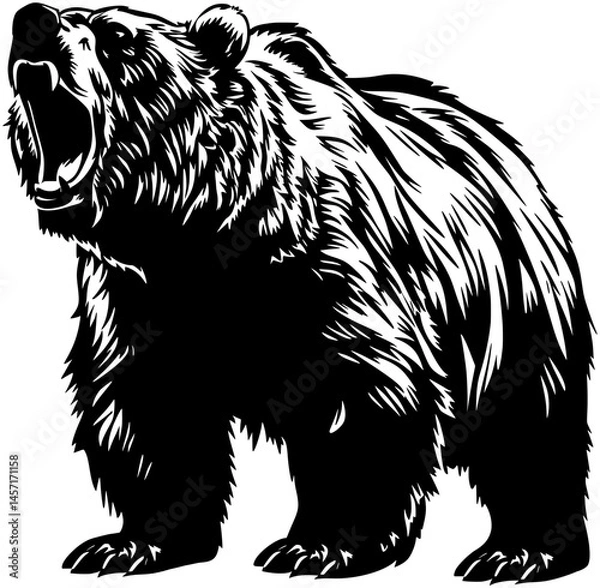Obraz bear vector illustration