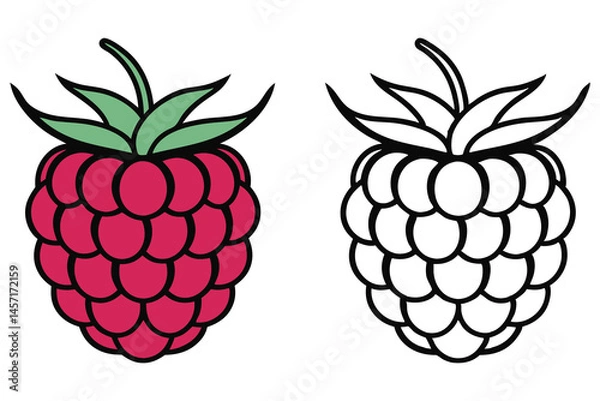 Fototapeta A colored raspberry sits beside its monochrome outline with green leaves against white