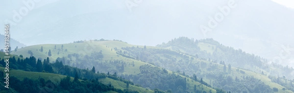 Fototapeta Heavy rain over the green summer, foggy mountain hills in the Carpathian Mountains. Rainy weather in the mountains. Foggy perspective.