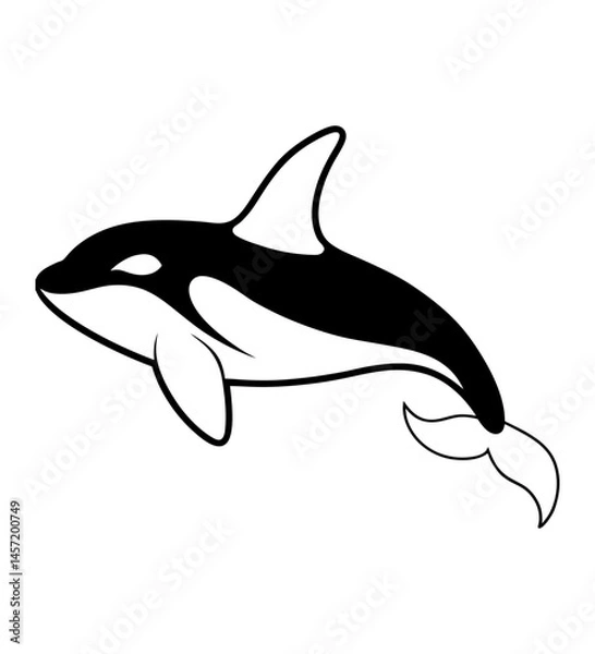Obraz Orca Sketch