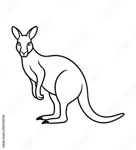 Obraz Kangaroo Sketch