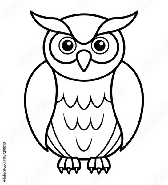Obraz Owl Sketch