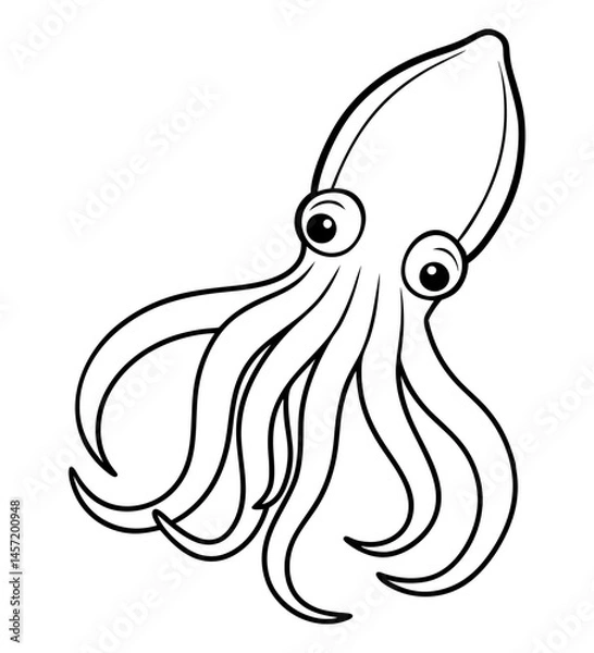Obraz Squid Sketch