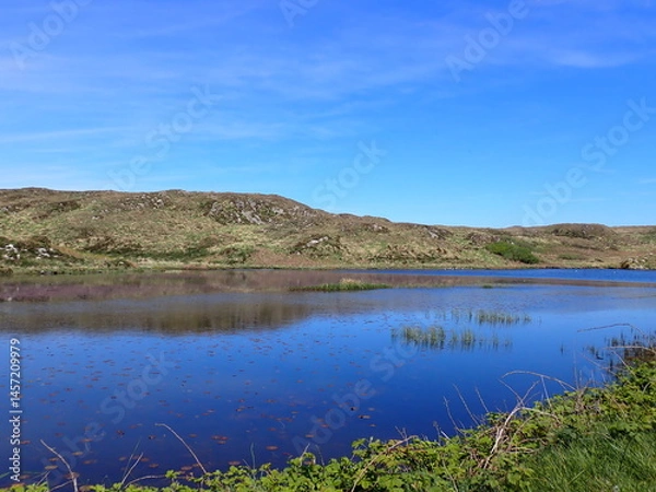 Obraz West Cork coastline
