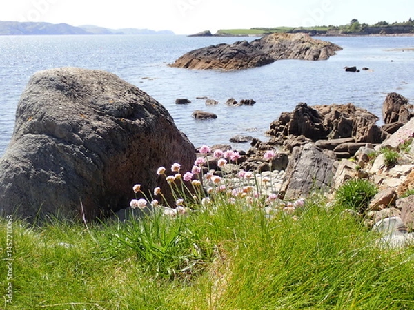Obraz West Cork coastline