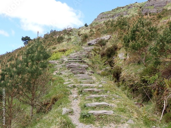 Obraz Hiking path at Gouganebarra Ireland