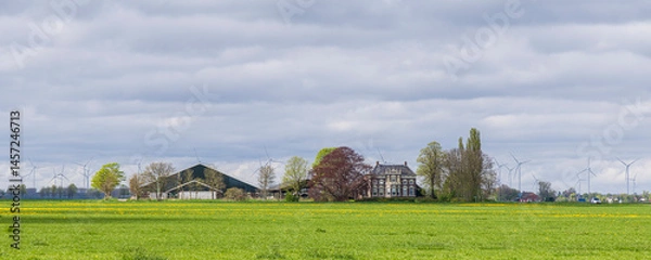 Fototapeta Scenic view of a traditional large farm house (Herenboer) surrounded by old trees in Oldambt Groningen The Netherlands.