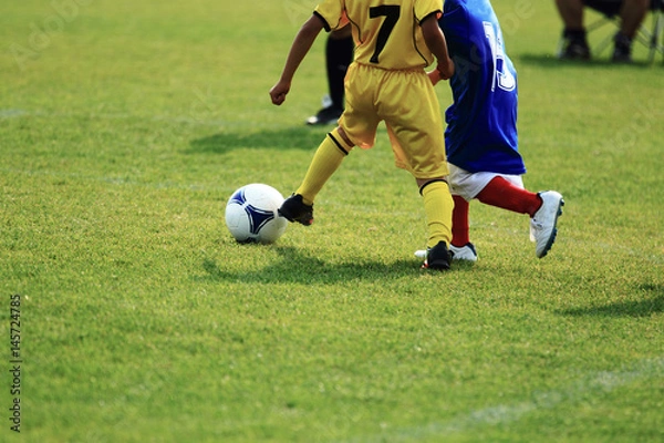 Fototapeta サッカー　フットボール