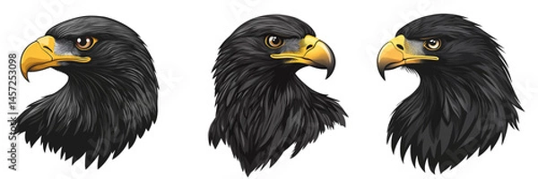 Obraz Collection of black eagle head looking straigh isolated on a transparent background