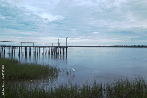 Obraz Wooden logs pier in a foggy morning. Green vegetation on the shore, white heron standing on water, silhouettes on horizon line.