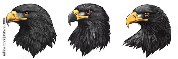 Obraz Collection of black eagle head looking straigh isolated on a transparent background