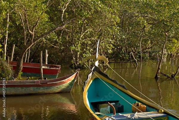Obraz Colorful boat anchored at shore in middle mangrove trees