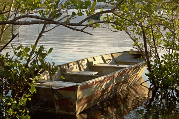 Obraz Boat anchored in middle mangrove vegetation in sunset time, reflections calm water, no people, 