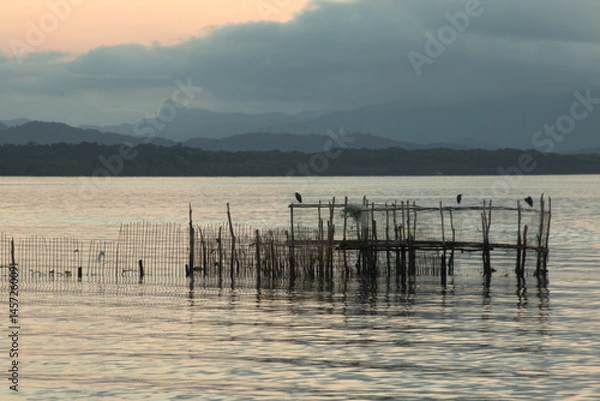 Obraz Cananeia channel trap for fishing, wooden logs standing on the water, calm water, early morning light, foggy horizon line