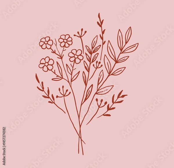 Fototapeta Set of flowers and plants trendy botanical elements. Hand drawn line minimalistic, bouquet