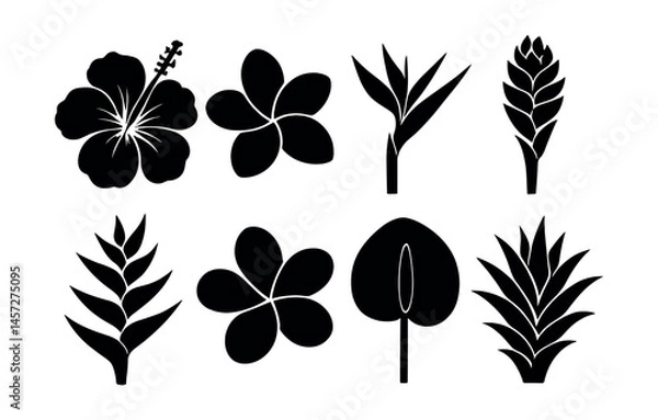 Fototapeta Tropical flower silhouette icons set – hibiscus, plumeria, bird of paradise. Vector icons set