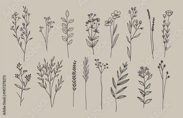 Fototapeta Set of flowers and plants trendy botanical elements. Hand drawn line minimalistic, leaves