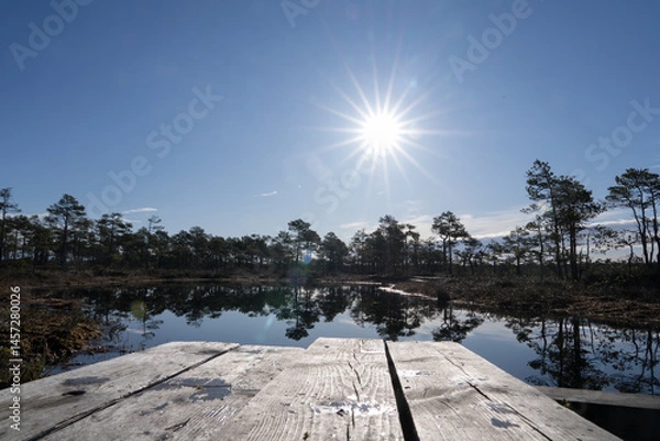 Fototapeta Seli, Estonia - May 04 2025: Sun star over mire hollow in Seli Raised Bog. Reflections of Bonsai Pines and Blue Sky on Still Water on a Bright Spring Day in Protected Wetland Landscape