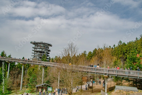 Obraz Spiral Observation Tower Above Forest in Sankt Englmar
