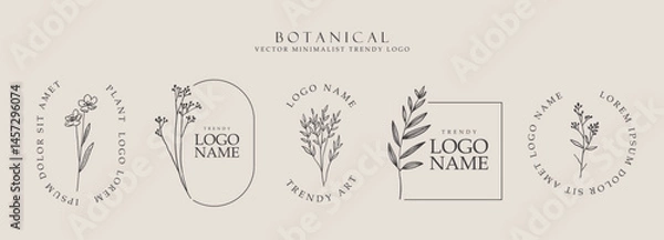 Fototapeta Plants minimalistic logos design, trendy wildflower lllustration, botanical collection