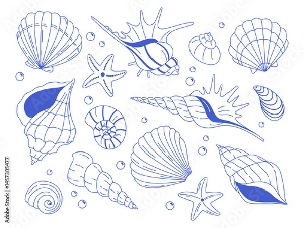 Fototapeta Hand-drawn blue seashells and starfish on a white background. Marine decorative elements for summer designs.