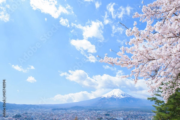 Fototapeta 富士山と桜