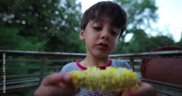 Fototapeta Close-up of a boy holding corn on the cob and examining it, focused on the corn with a calm outdoor backdrop during a summer evening