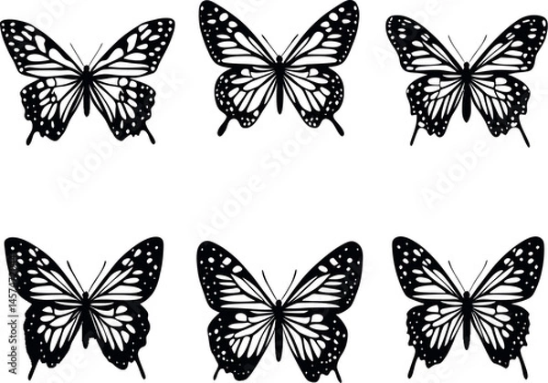 Fototapeta Adobe Illustrator Artwork