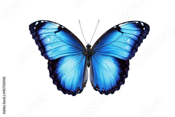 Fototapeta A close up of a vibrant blue butterfly with symmetrical wings against a pixelated background design