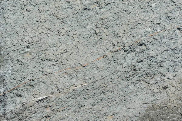 Obraz Grey background of the cement.