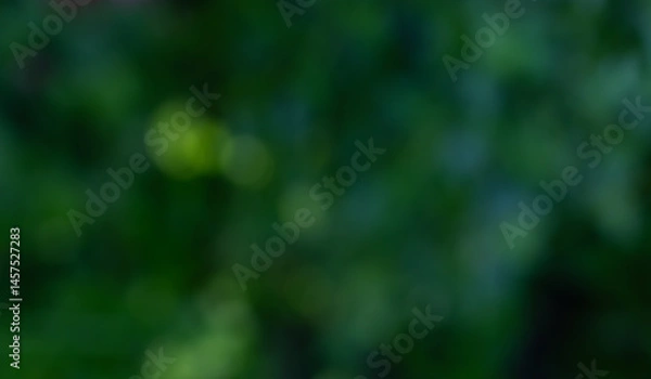 Obraz Dreamy green zen bokeh background of various soft color greens for any creative project. Create a lovely ethereal, serene and tranquil backdrop from nature's  colors.