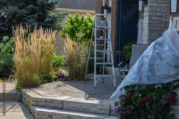 Obraz Beautiful and wispy Karl Foerster Feather Reed Grasses, Calamagrostis × acutiflora Karl Foerster, circles the freshly revitalized limestone and paver patio in a residential neighborhood. 