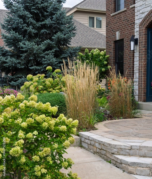 Obraz Beautiful Little Lime hydrangea bushes and Karl Foerster feather reed  grasses in full bloom late summer lend a romantic feel and curb appeal to the front entrance of this suburban residence. 