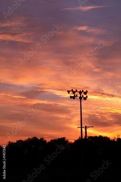 Obraz morning silhouette