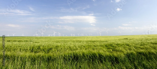 Obraz windräder in landschaft