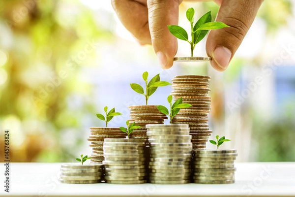 Obraz Uprawa roślin na pieniądze stosu monety dla koncepcji wzrostu finansów i bankowości