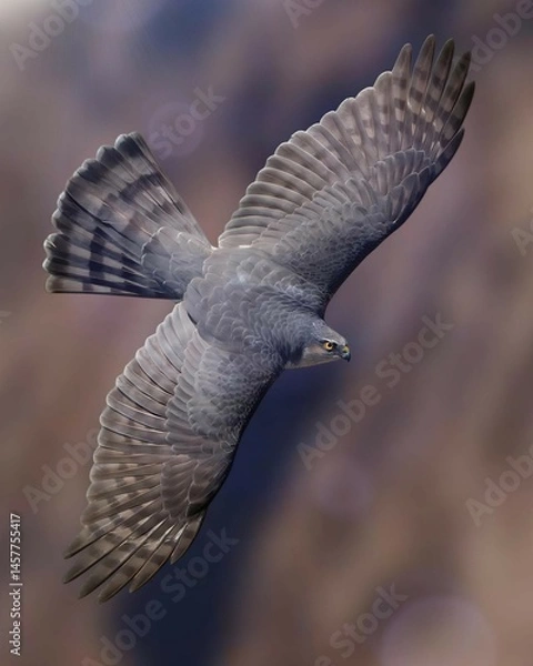 Obraz an eagle flying in the wild with a blurred mountain background