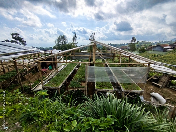 Fototapeta place for planting vegetable seeds in mountainous areas