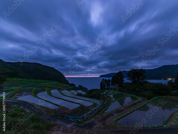 Obraz 夜の帳と棚田