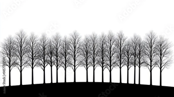 Fototapeta Silhouette of Leafless Trees in a Symmetrical Arrangement Against a Minimalist White Background